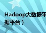 Hadoop大数据平台的组件有（hadoop大数据平台）