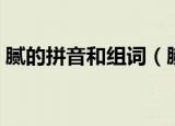 腻的拼音和组词（腻的拼音和组词简单介绍）