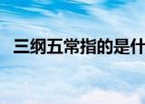 三纲五常指的是什么呢（三纲五常是什么）