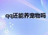 qq还能养宠物吗（qq宠物结婚有什么用）