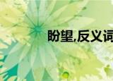 盼望,反义词（期盼的反义词）
