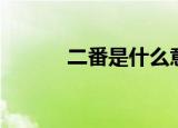 二番是什么意思（二番的解释）