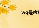 wq是啥意思（wq解释）