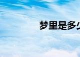 梦里是多少（梦里消多少）