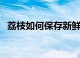 荔枝如何保存新鲜（荔枝保存新鲜的方法）