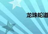 龙珠蛇道之神（龙珠蛇）