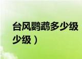 台风鹦鹉多少级（2020年第2号台风鹦鹉多少级）
