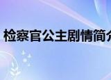 检察官公主剧情简介（检察官公主剧情介绍）