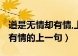 道是无情却有情,上一句是什么?（道是无情却有情的上一句）
