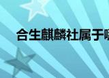 合生麒麟社属于哪个社区（合生麒麟社）