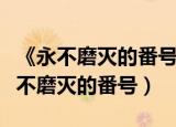 《永不磨灭的番号》电视剧央视网（电视剧永不磨灭的番号）