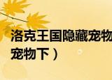 洛克王国隐藏宠物分布（洛克王国黑暗边缘的宠物下）