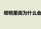 樱桃里面为什么会有小白虫（樱桃怎么洗）