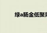 绿a肠金低聚果糖作用（绿a肠金）