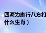 四海为家行八方打一生肖（四海为家行八方是什么生肖）