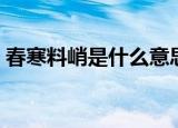 春寒料峭是什么意思（春寒料峭的简单介绍）