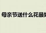 母亲节送什么花最好（母亲节送哪种花最好）