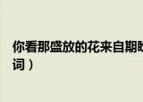 你看那盛放的花来自期盼的种子是什么歌（和光同尘完整歌词）