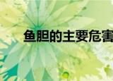鱼胆的主要危害是（会造成什么后果）