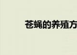 苍蝇的养殖方法（苍蝇怎么养殖）