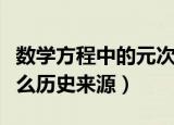 数学方程中的元次等术语是由谁创造的（有什么历史来源）