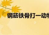 钢筋铁骨打一动物（铜筋铁骨打一动物）