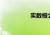 实数根公式（实数根）