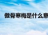 傲骨寒梅是什么意思（傲骨寒梅意思介绍）
