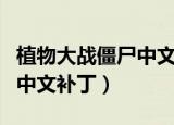 植物大战僵尸中文补丁怎么装（植物大战僵尸中文补丁）