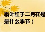 霜叶红于二月花是哪个季节（霜叶红于二月花是什么季节）
