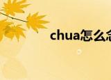 chua怎么念（chua怎么读）