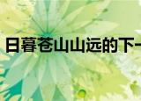 日暮苍山山远的下一句（日暮苍山远下一句）