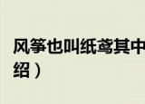 风筝也叫纸鸢其中鸢是指什么（风筝的由来介绍）