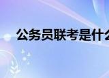 公务员联考是什么（公务员联考的意思）