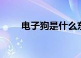 电子狗是什么东西（电子狗的简介）