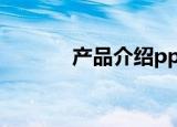 产品介绍ppt（ppt项目介绍）