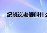 纪晓岚老婆叫什么（来这里看相关介绍）