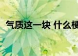 气质这一块 什么梗（主要是气质是什么梗）