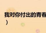 我对你付出的青春这么多年什么歌（歌词介绍）