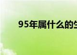 95年属什么的生肖（95年属啥生肖）