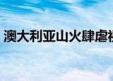 澳大利亚山火肆虐视频（澳大利亚山火肆虐）