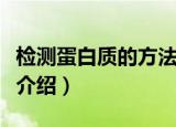 检测蛋白质的方法有哪些（检测蛋白质的方法介绍）