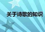 关于诗歌的知识（关于诗歌的知识大全）