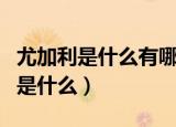 尤加利是什么有哪些品种（尤加利有什么品种是什么）