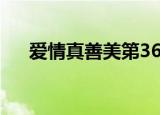 爱情真善美第36集（爱情真善美32集）