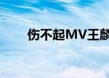 伤不起MV王麟dj舞曲（伤不起mv）