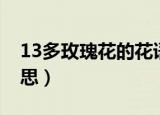 13多玫瑰花的花语（13朵玫瑰花代表什么意思）