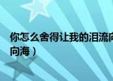 你怎么舍得让我的泪流向海什么歌（你怎么舍得让我的泪流向海）