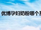 优博孕妇奶粉哪个系列最好（优博孕妇奶粉）