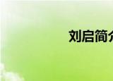 刘启简介（刘启是谁）